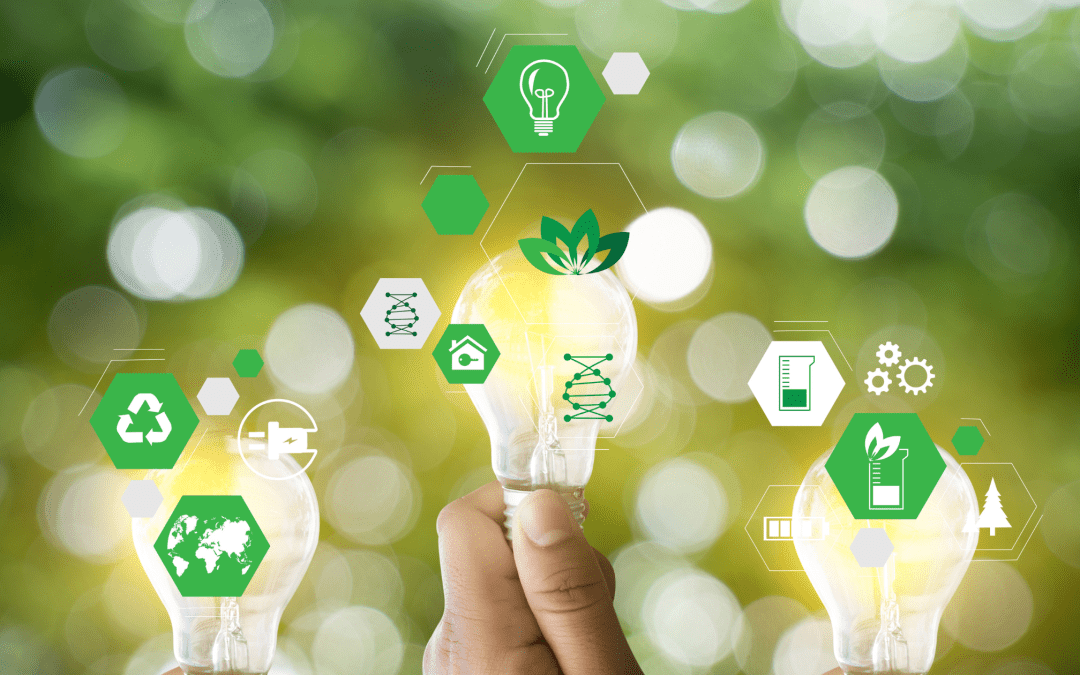 Top Tips to Plan and Organize Sustainable Events