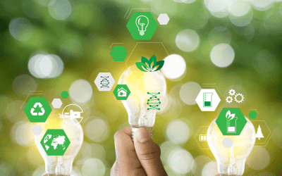 Top Tips to Plan and Organize Sustainable Events