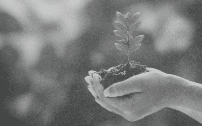 Our Commitment to Sustainable Events and Inclusive Event Planning